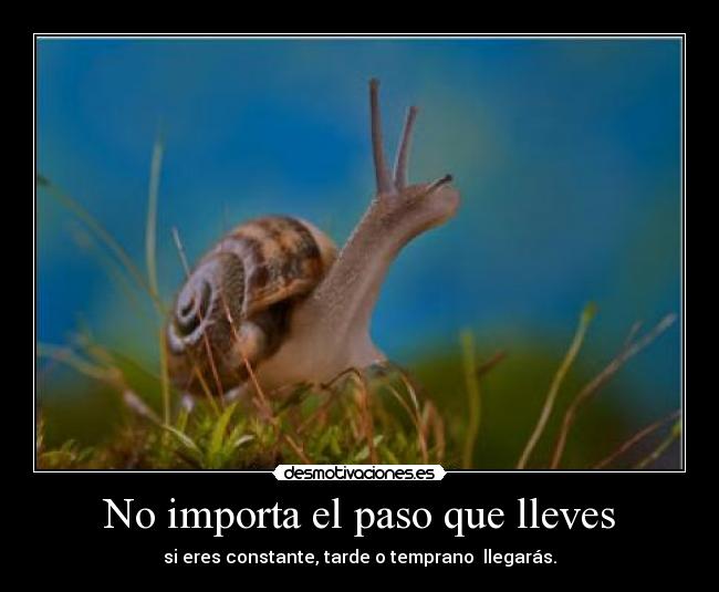 No importa el paso que lleves -