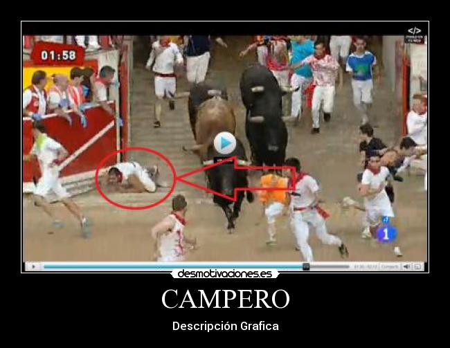 CAMPERO - Descripción Grafica