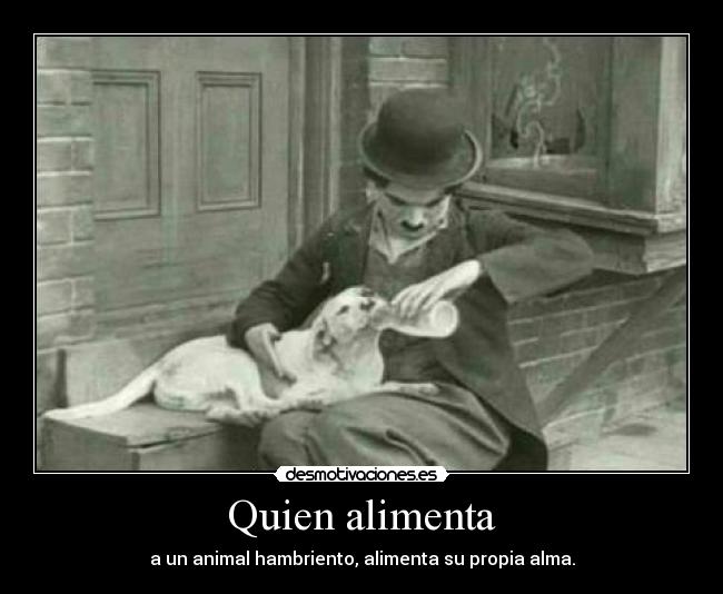 carteles charles chaplin desmotivaciones