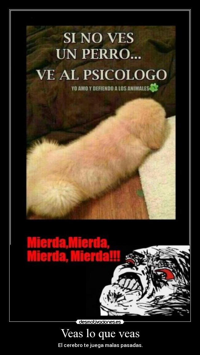 Veas lo que veas -