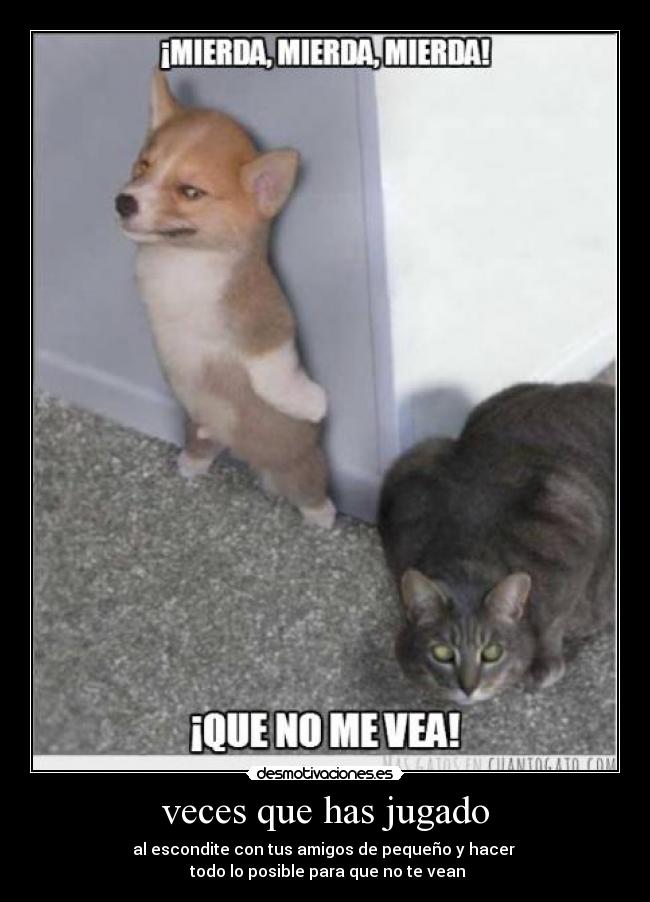 veces que has jugado -