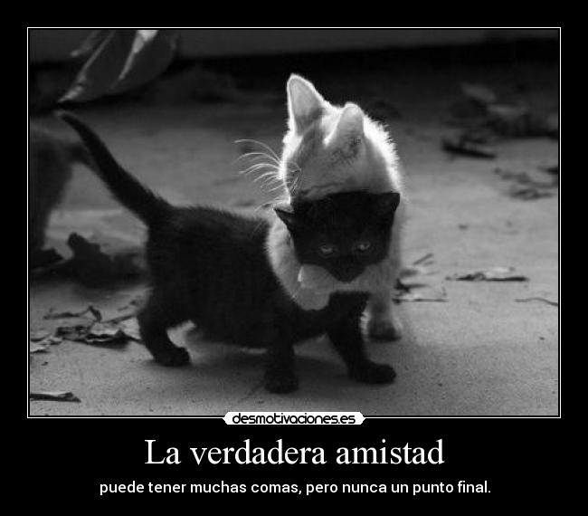 La verdadera amistad - puede tener muchas comas, pero nunca un punto final.