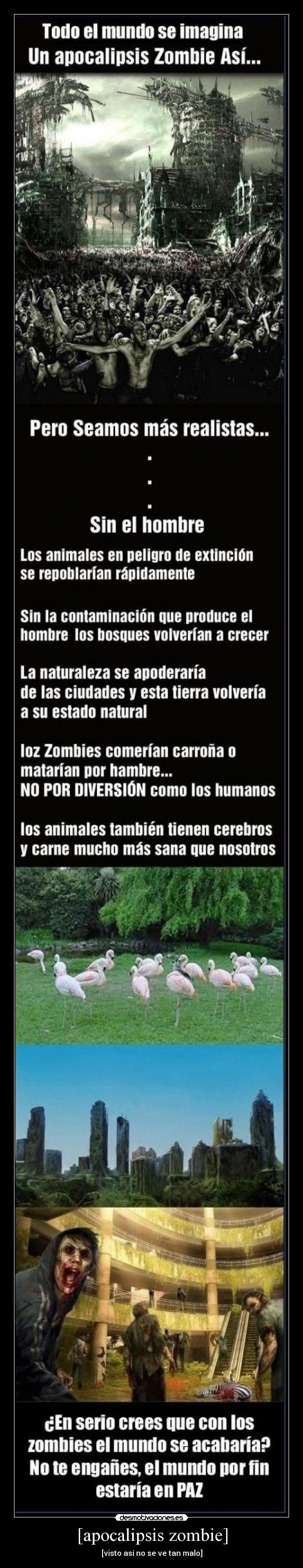 carteles sevenix anime apocalipsis zombie colwuwboaonwtoiopwaoion desmotivaciones