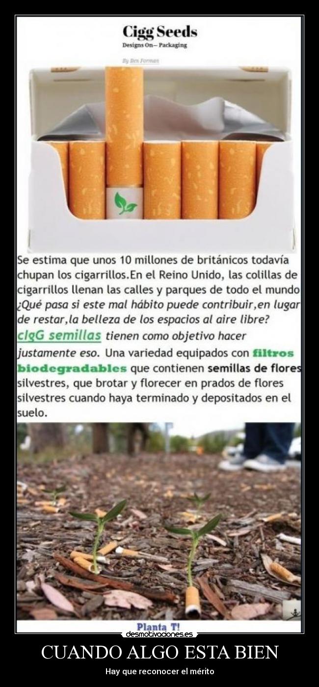 CUANDO ALGO ESTA BIEN - Hay que reconocer el mérito