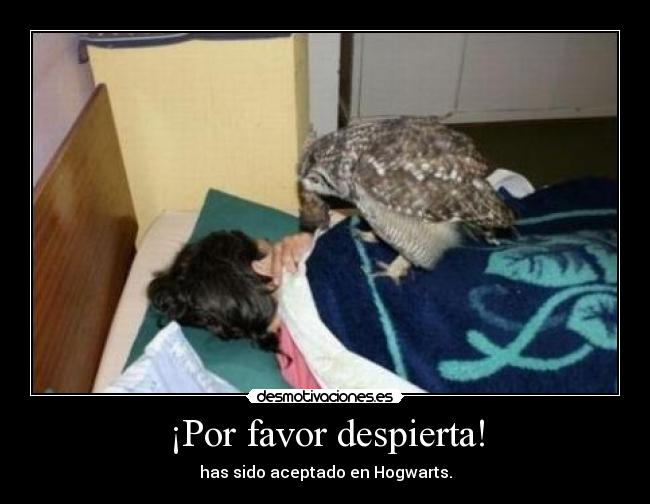 ¡Por favor despierta! - 