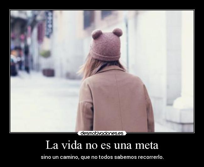 carteles vida vida meta desmotivaciones