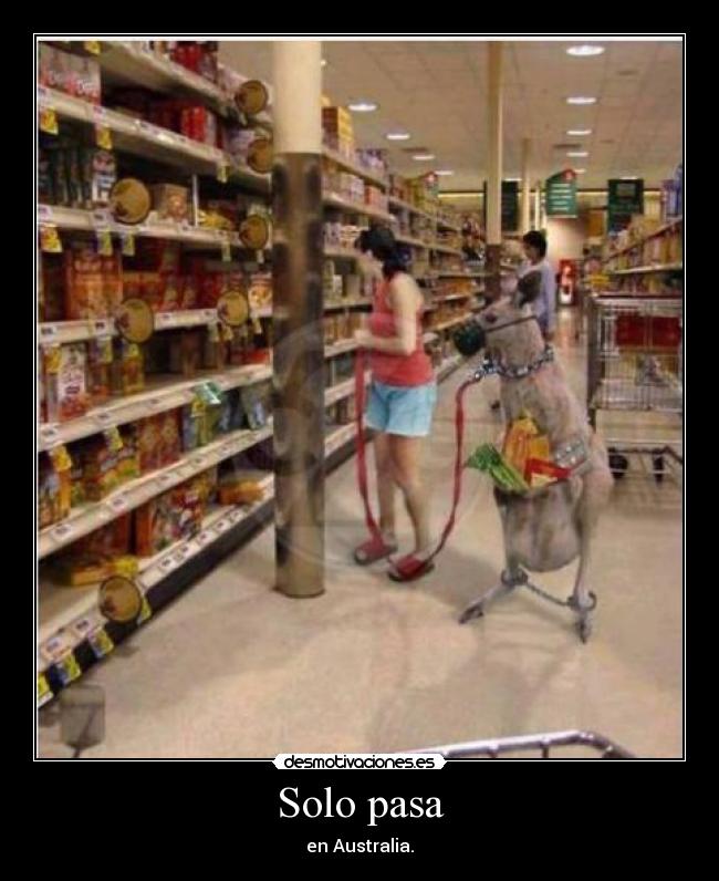 Solo pasa - en Australia.