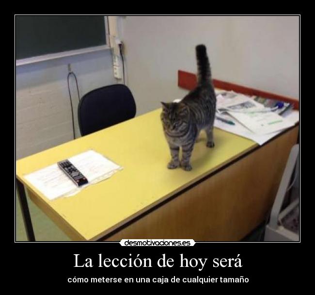 La lección de hoy será -