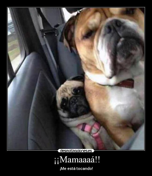 ¡¡Mamaaaá!! -