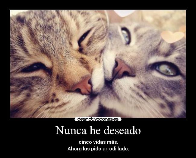 Nunca he deseado - cinco vidas más.
Ahora las pido arrodillado.