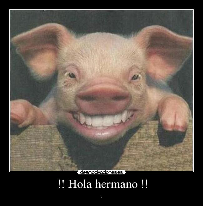 !! Hola hermano !! -