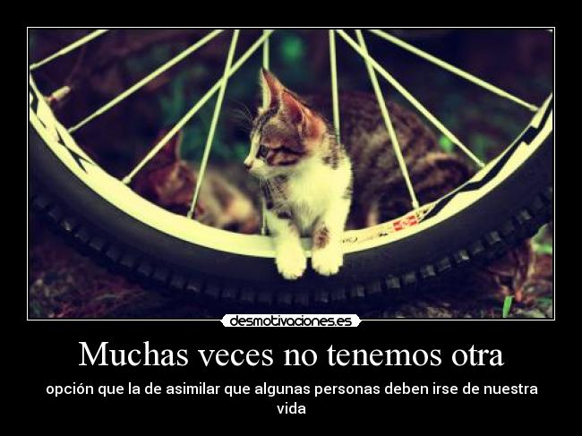 Muchas veces no tenemos otra - 