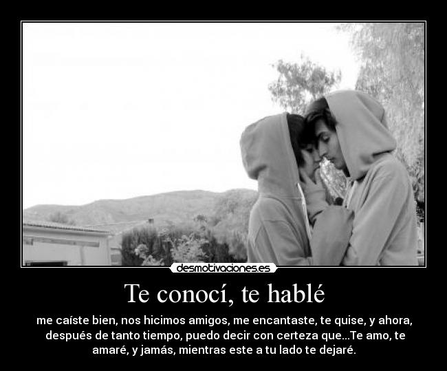 Te conocí, te hablé - me caíste bien, nos hicimos amigos, me encantaste, te quise, y ahora,
 después de tanto tiempo, puedo decir con certeza que...Te amo, te
amaré, y jamás, mientras este a tu lado te dejaré.