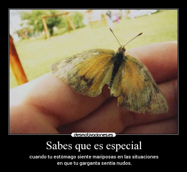 Sabes que es especial - 