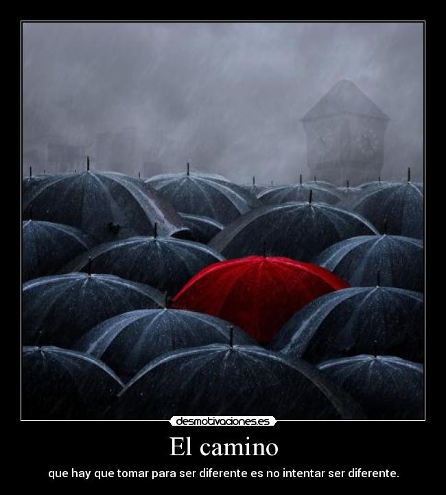 El camino - 