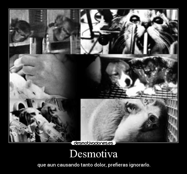 Desmotiva -