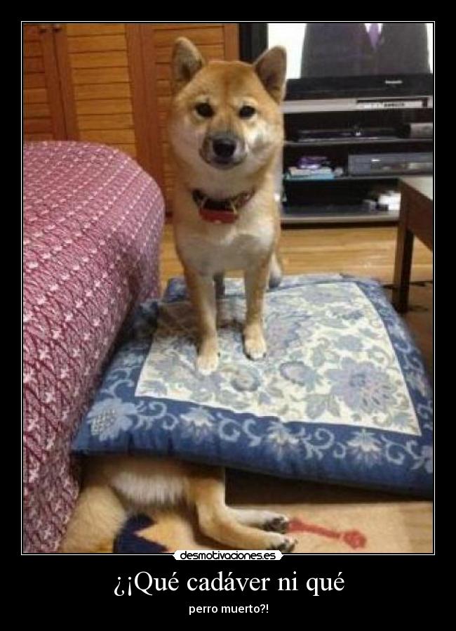 ¿¡Qué cadáver ni qué - 