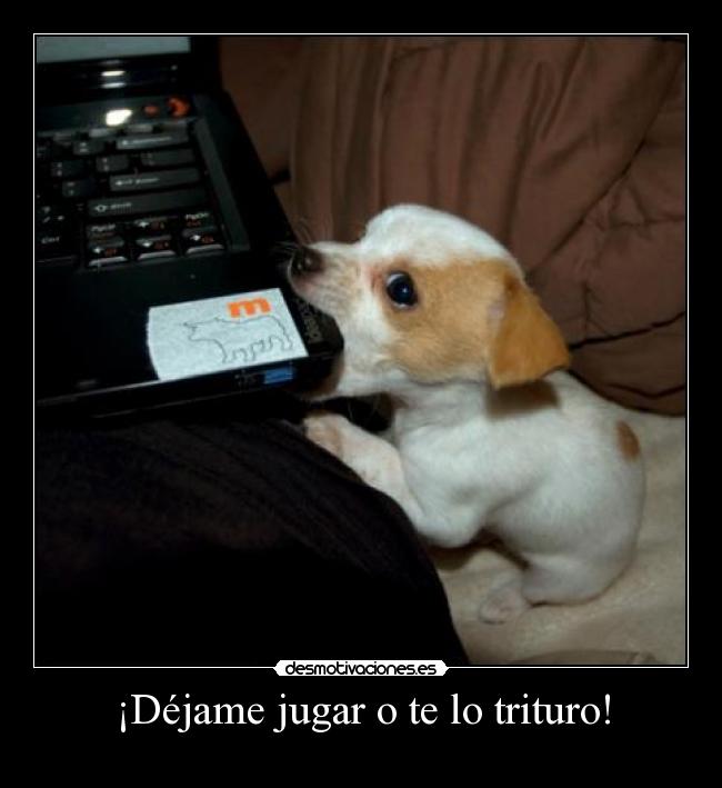 carteles adioo pese desmotivaciones