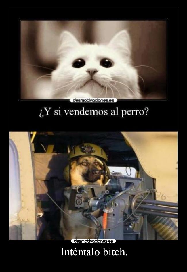 Inténtalo bitch. -