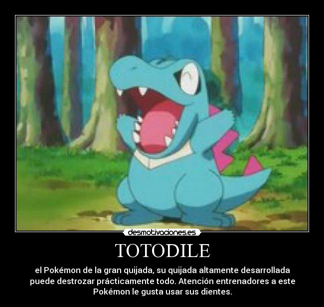 TOTODILE - el Pokémon de la gran quijada, su quijada altamente desarrollada
puede destrozar prácticamente todo. Atención entrenadores a este
Pokémon le gusta usar sus dientes.