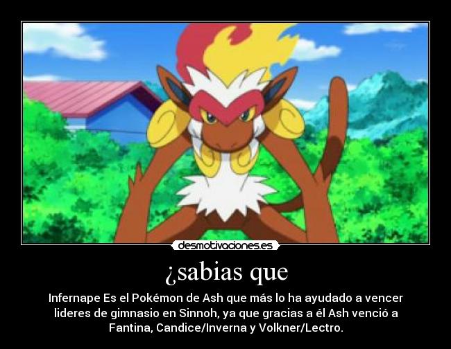 ¿sabias que - Infernape Es el Pokémon de Ash que más lo ha ayudado a vencer
lideres de gimnasio en Sinnoh, ya que gracias a él Ash venció a
Fantina, Candice/Inverna y Volkner/Lectro.