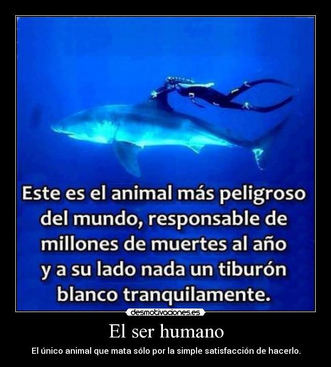 El ser humano -