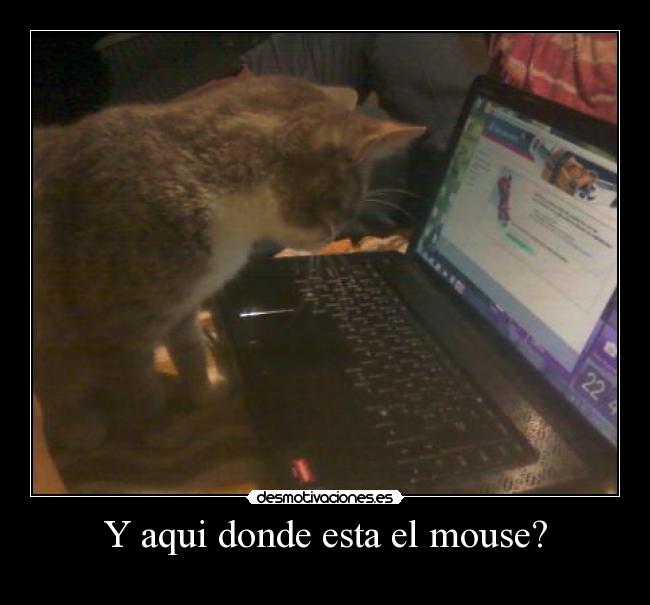 Y aqui donde esta el mouse? -