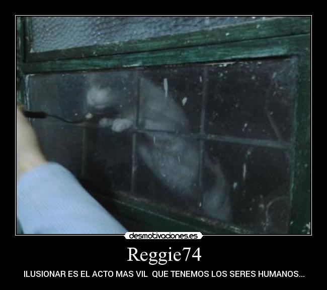 Reggie74 -