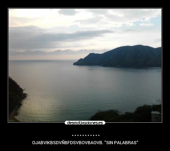 ........... - OJABVIKBSDVÑBFDSVBOVBAOVB. SIN PALABRAS