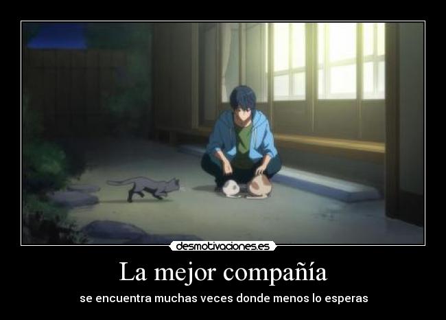 carteles anime free haru alimentando los nekos nyan kawaiis mientras reflexiona doni desmotivaciones