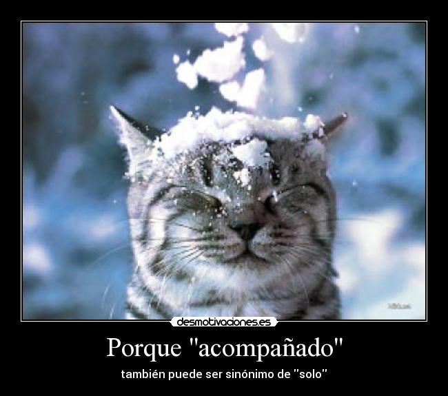 Porque acompañado -