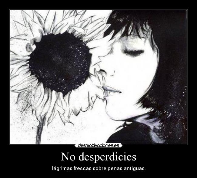 No desperdicies - lágrimas frescas sobre penas antiguas.