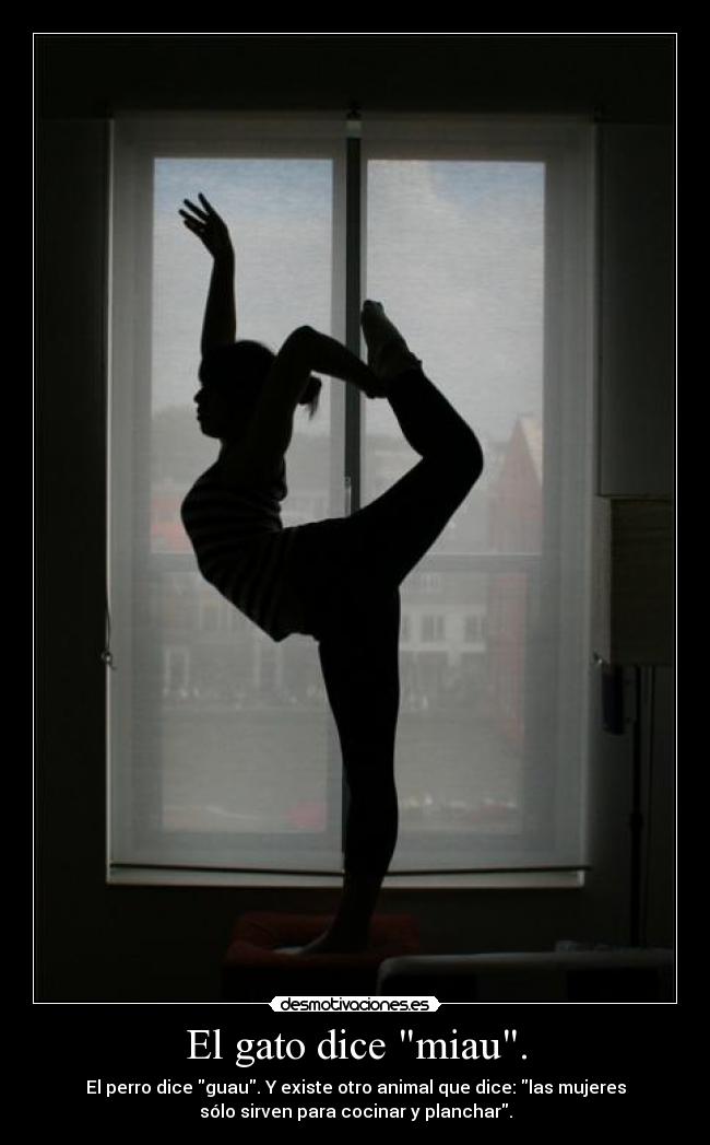 El gato dice miau. - El perro dice guau. Y existe otro animal que dice: las mujeres
sólo sirven para cocinar y planchar.