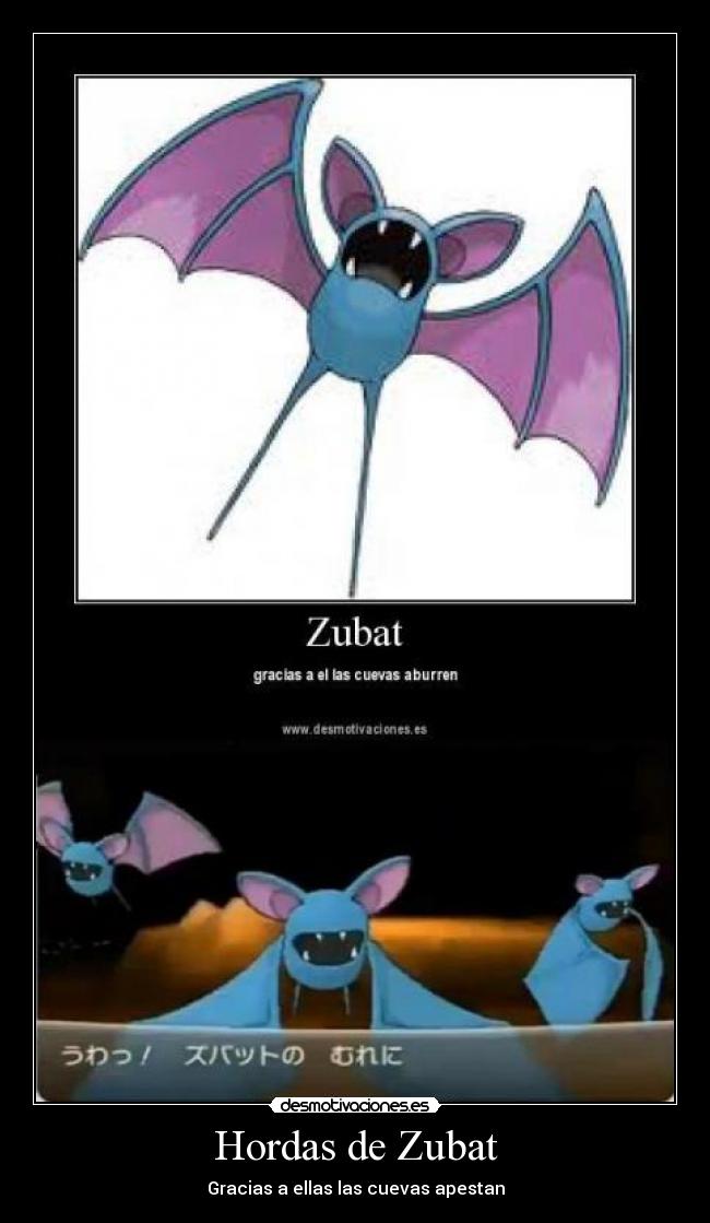 Hordas de Zubat - Gracias a ellas las cuevas apestan