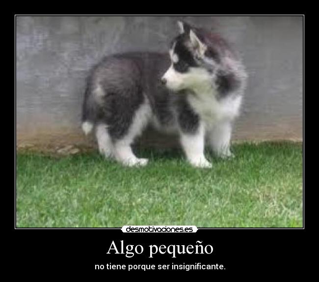 Algo pequeño - no tiene porque ser insignificante.