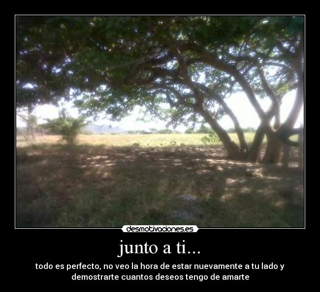 junto a ti... - todo es perfecto, no veo la hora de estar nuevamente a tu lado y
demostrarte cuantos deseos tengo de amarte