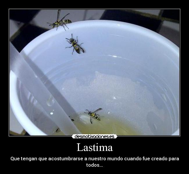 Lastima - Que tengan que acostumbrarse a nuestro mundo cuando fue creado para todos...