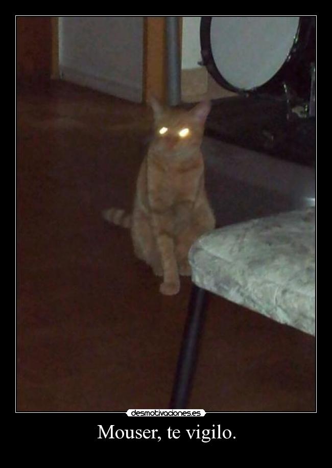 Mouser, te vigilo. -