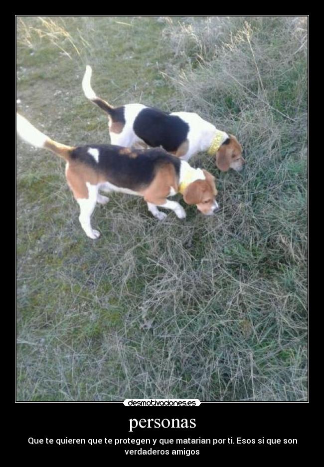 personas - Que te quieren que te protegen y que matarian por ti. Esos si que son
verdaderos amigos