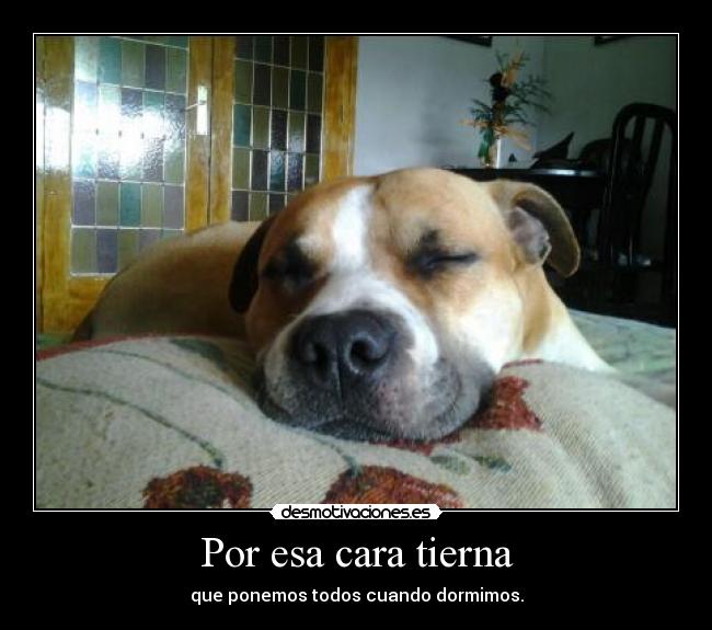 Por esa cara tierna - que ponemos todos cuando dormimos.