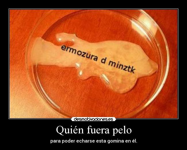 Quién fuera pelo - para poder echarse esta gomina en él.