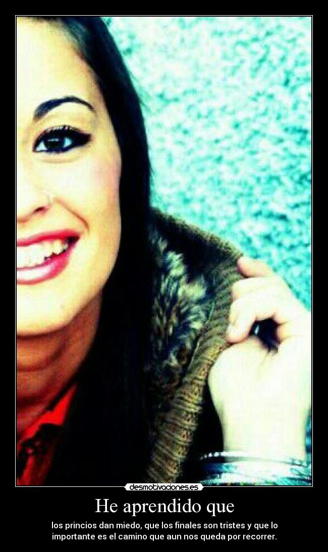 carteles aprendido desmotivaciones