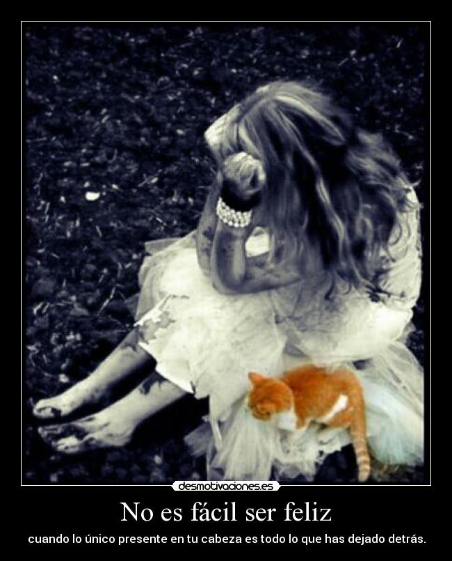 carteles 23gr desmotivaciones