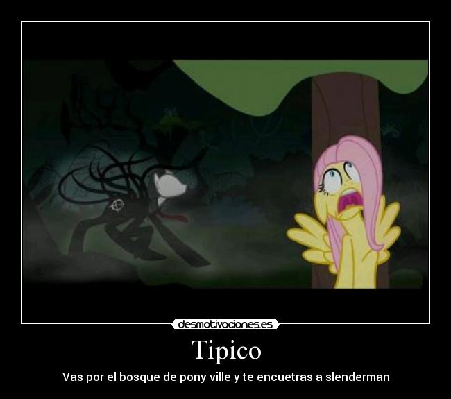 Tipico -