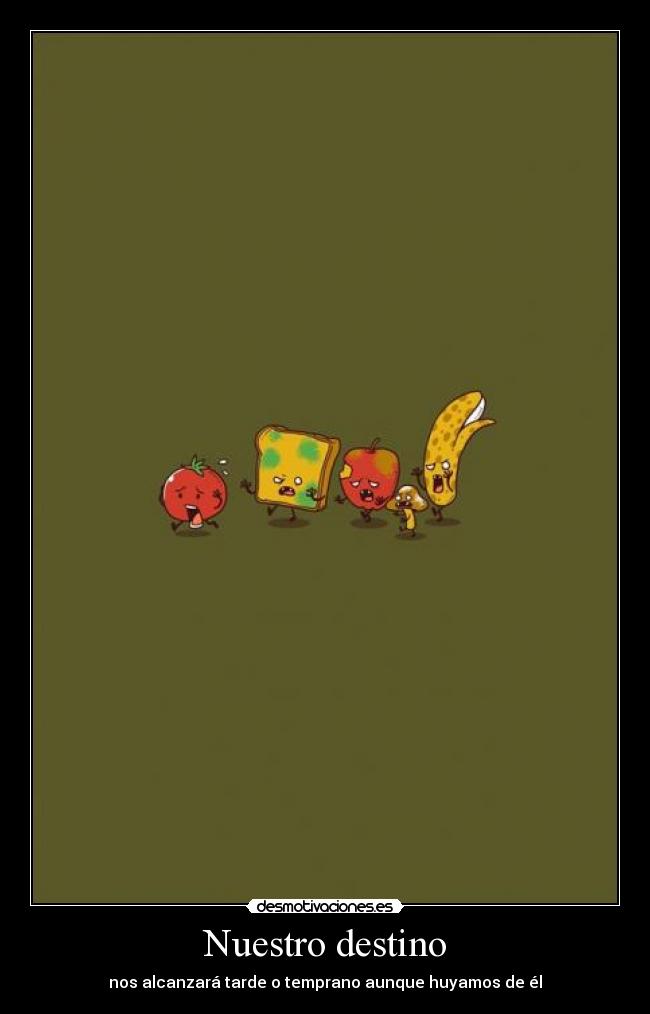 Nuestro destino - 