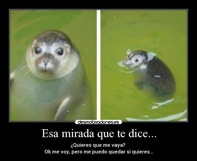 Esa mirada que te dice... - 