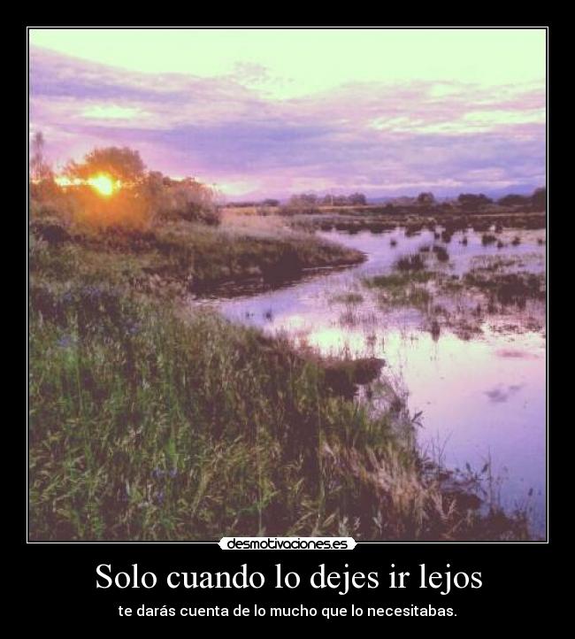 Solo cuando lo dejes ir lejos - te darás cuenta de lo mucho que lo necesitabas.