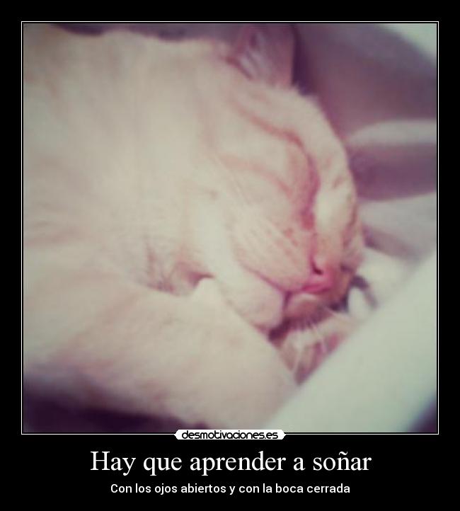 Hay que aprender a soñar - Con los ojos abiertos y con la boca cerrada