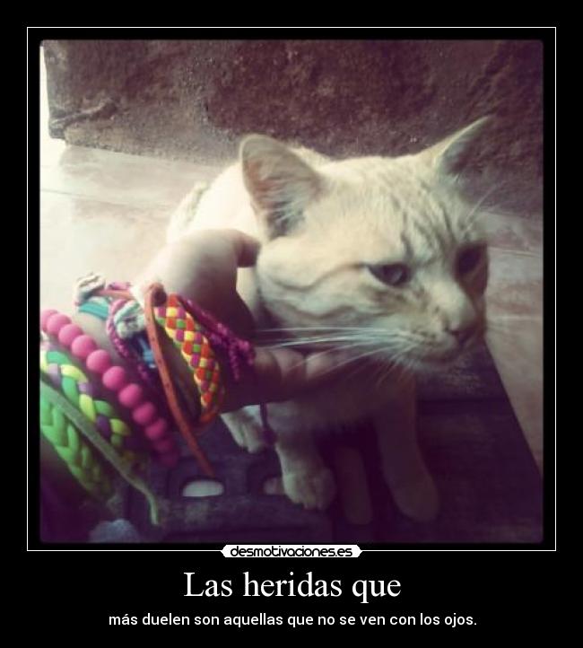 Las heridas que - más duelen son aquellas que no se ven con los ojos.