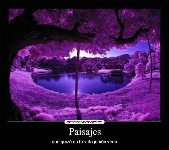 Paisajes - que quizá en tu vida jamás veas.